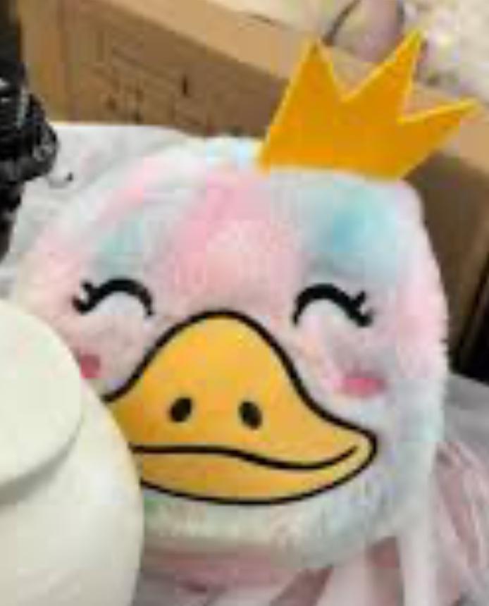 Logan Sports 9" Furry Friendz Toy Ball - Bellso